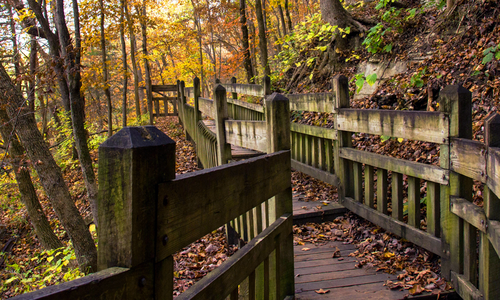 Southwest Missouri trail in the fall