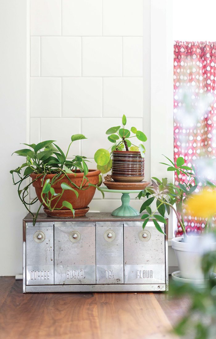 Interior of Shailey Murphy's home