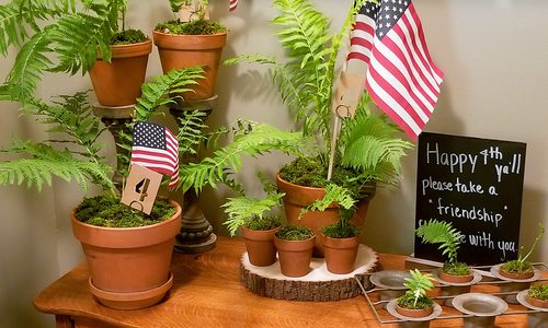 fern party favors for friends on 4th of july