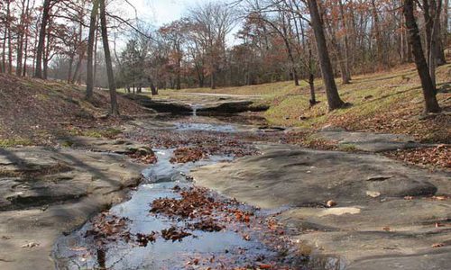 The creek of Gainesville with the fall leaves scattering the ground and the bare trees bordering it on either side