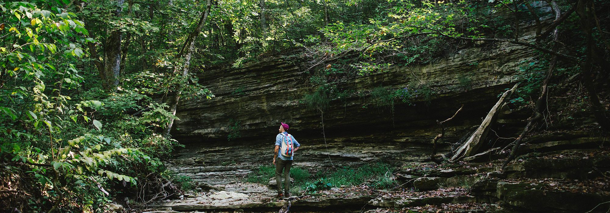 Devil's Eyebrow Natural Area in Arkansas