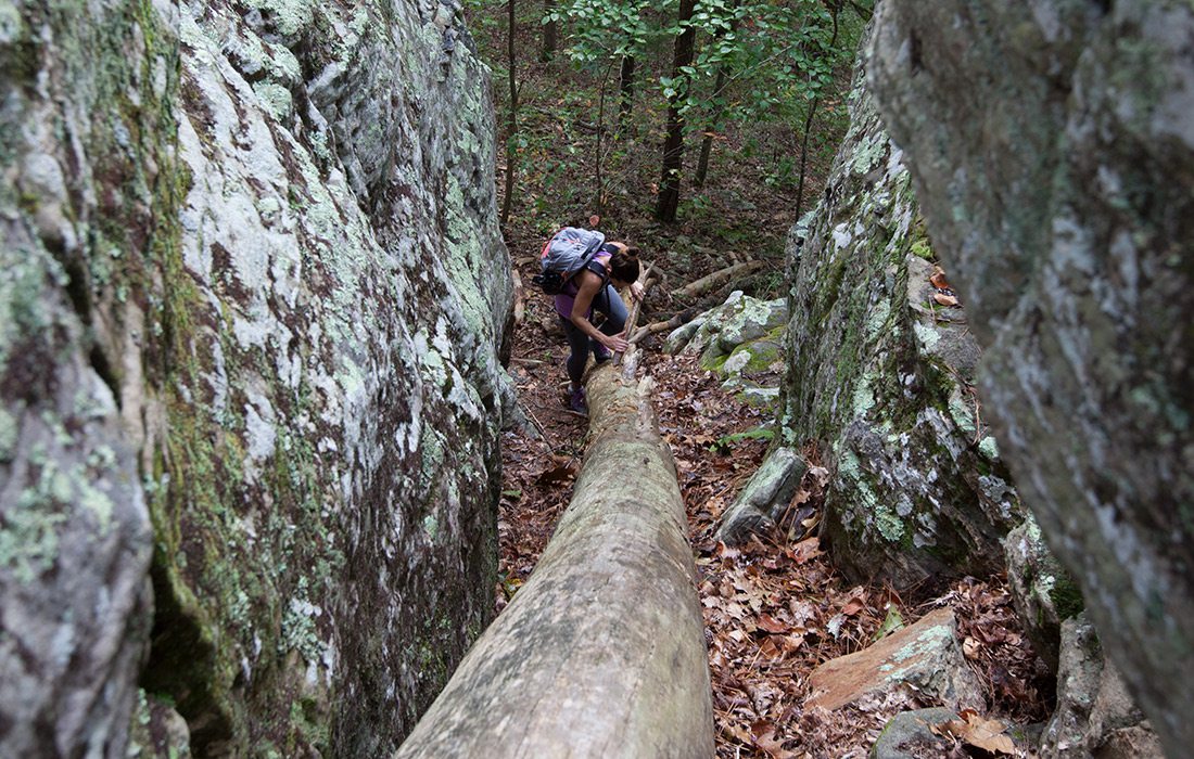 Big Piney Trail in Missouri