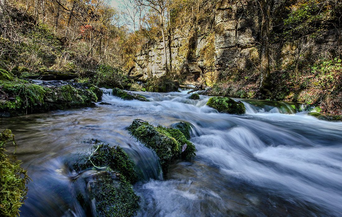 Greer Spring Trail in Missouri