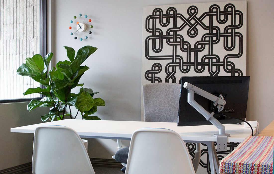 Modern office with fig plant and natural light