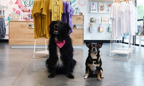 Dogs at Culture Flock in Springfield, MO