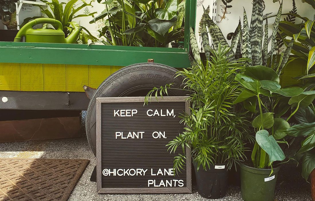 Hickory Lanes Plants