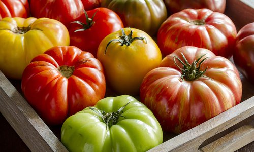 Heirloom Tomato Dishes Around 417-land