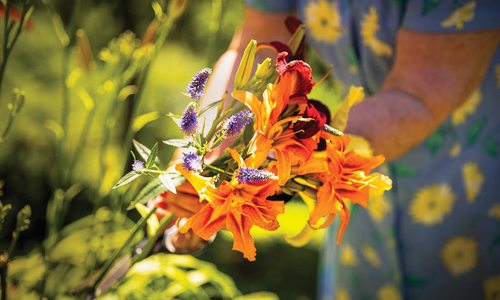 Flowers in southwest Missouri garden