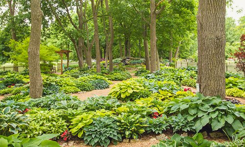 Hosta Park photo by Aaron Scott