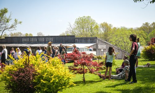 A Must-Do Guide for Gardeners