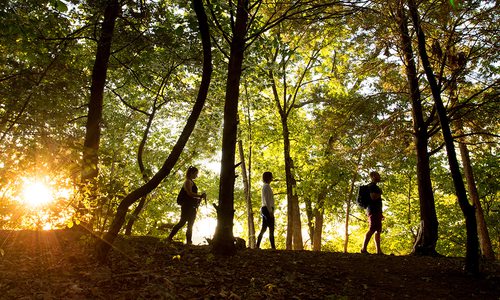 Three people walking a trail at Lake Springfield