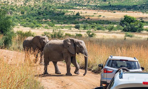 Evan Bennett's Family Vacation to South Africa