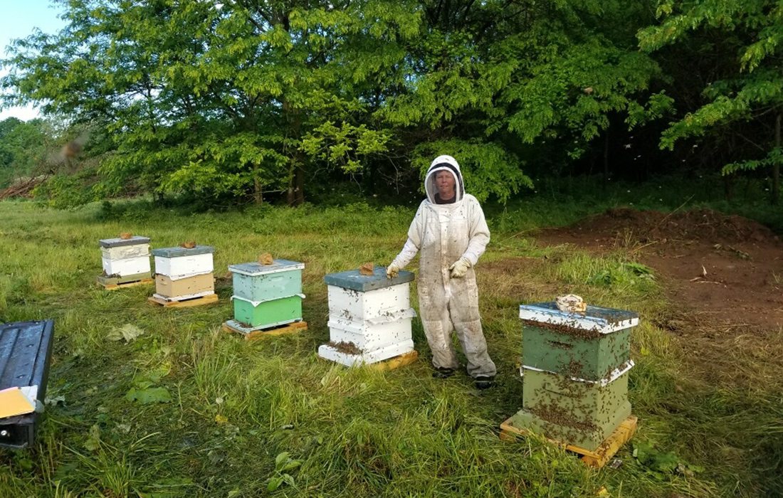 John Moore standing with his beehives