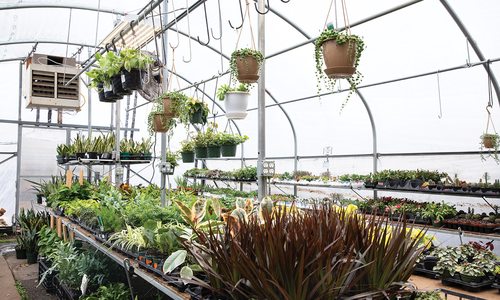 Joplin Greenhouse & The Coffee Shop