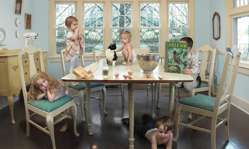 “Birds at Home” by Julie Blackmon
