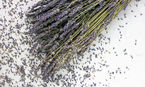 Pasta with Lavender