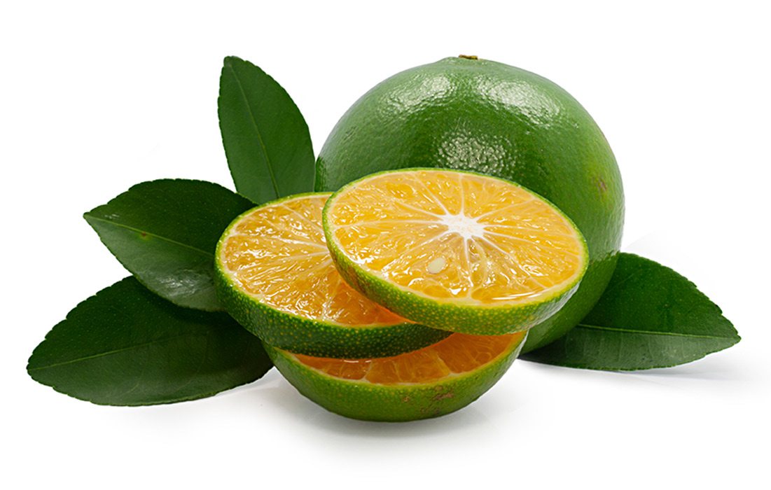 Calamansi