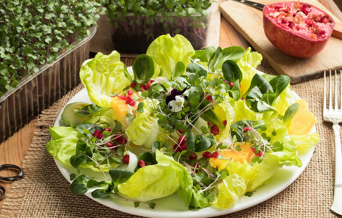 Microgreens and fresh greens on a plate.
