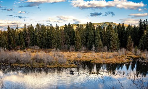 Lake at Grand Teton National Park, Wyoming.