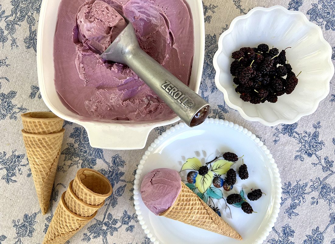 No-Churn Mulberry Ice Cream
