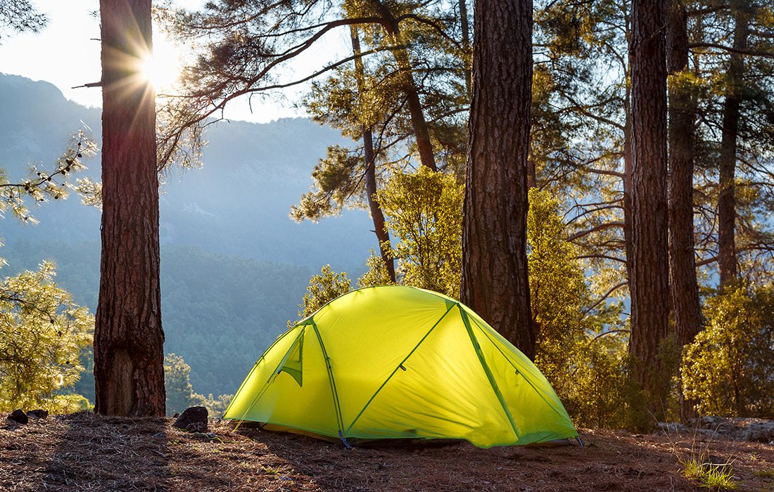 Bright green tent in the woods