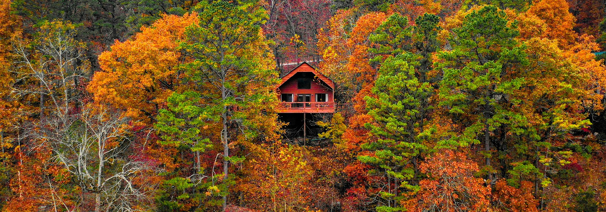 Treetop Cabin at River of Life Farm, Missouri