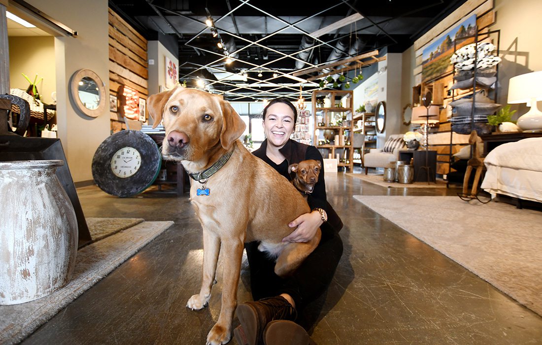 Zeke, a 1.5-year-old lab and Kallie, a 2-year-old Chihuahua dachshund mix at Ellecor Design & Gifts