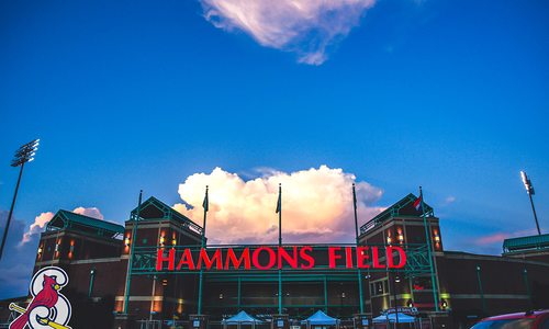 Springfield Cardinals Roost in Springfield