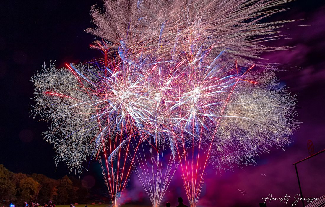 Pink and purple and red fireworks.