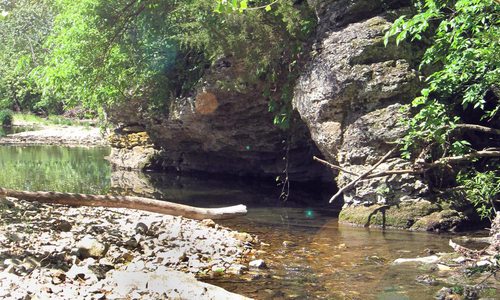 Our Parks are Poppin’