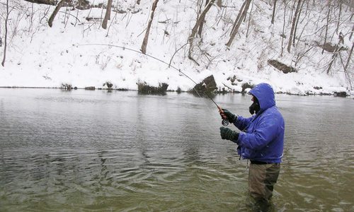 Fly Fish in Southwest Missouri