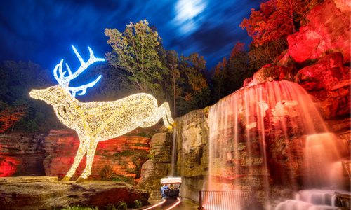 Part of the trail at Nature at Night light tour.