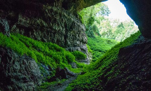 A Canyon Stroll at Gulf Stream State Park