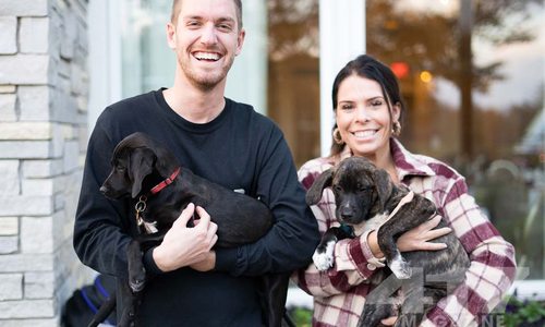 See pictures from Party 4 Paws, 2022