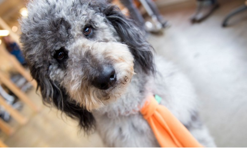 People-Centered Interviews