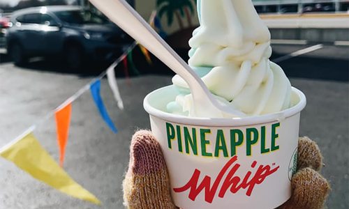 Pineapple Whip photo from Whip Solstice