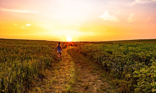Prairie State Park, MO