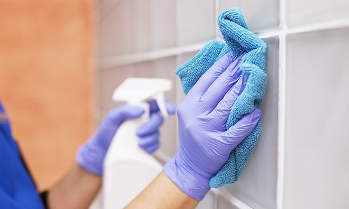 Professional cleaning service