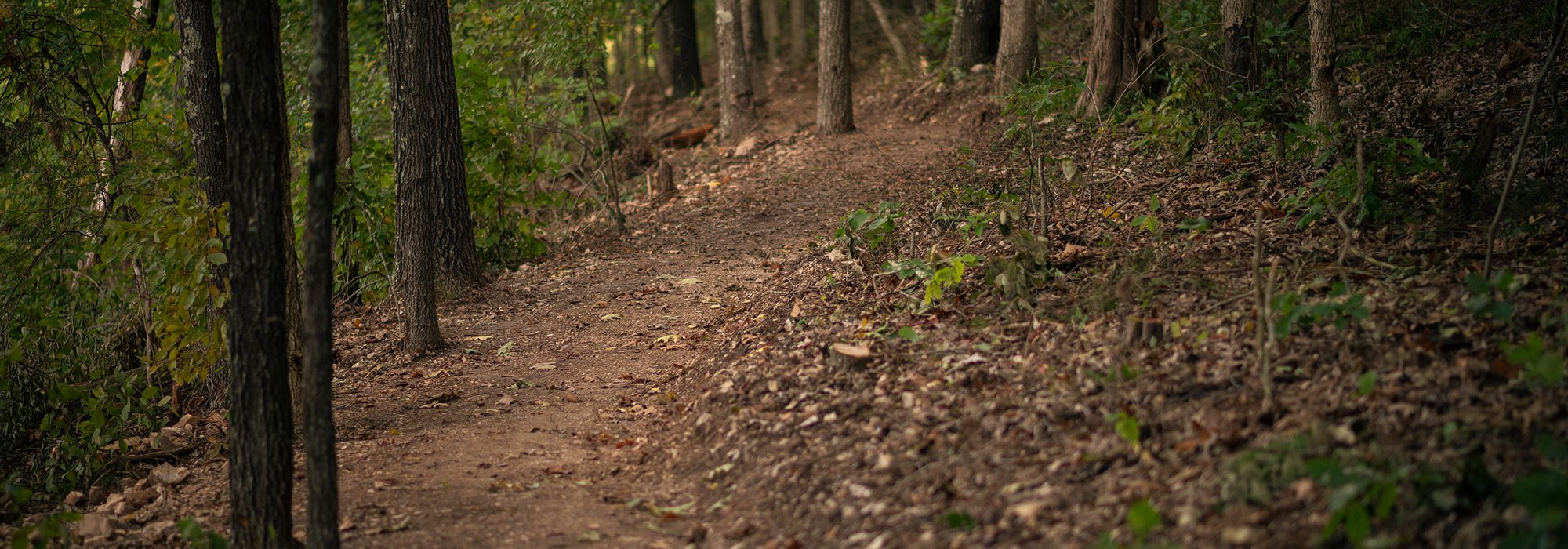 Trail photp