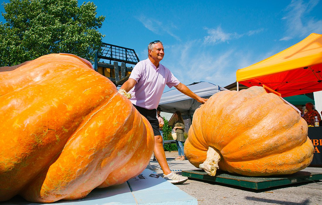 Giant pumpkin contest photo