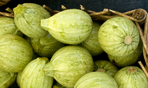 Mushroom-Stuffed Ronde de Nice Squash