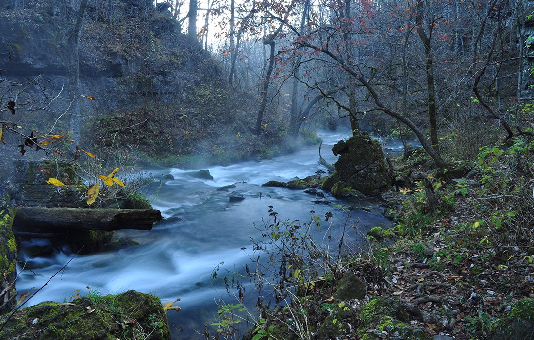 Greer Spring in Missouri