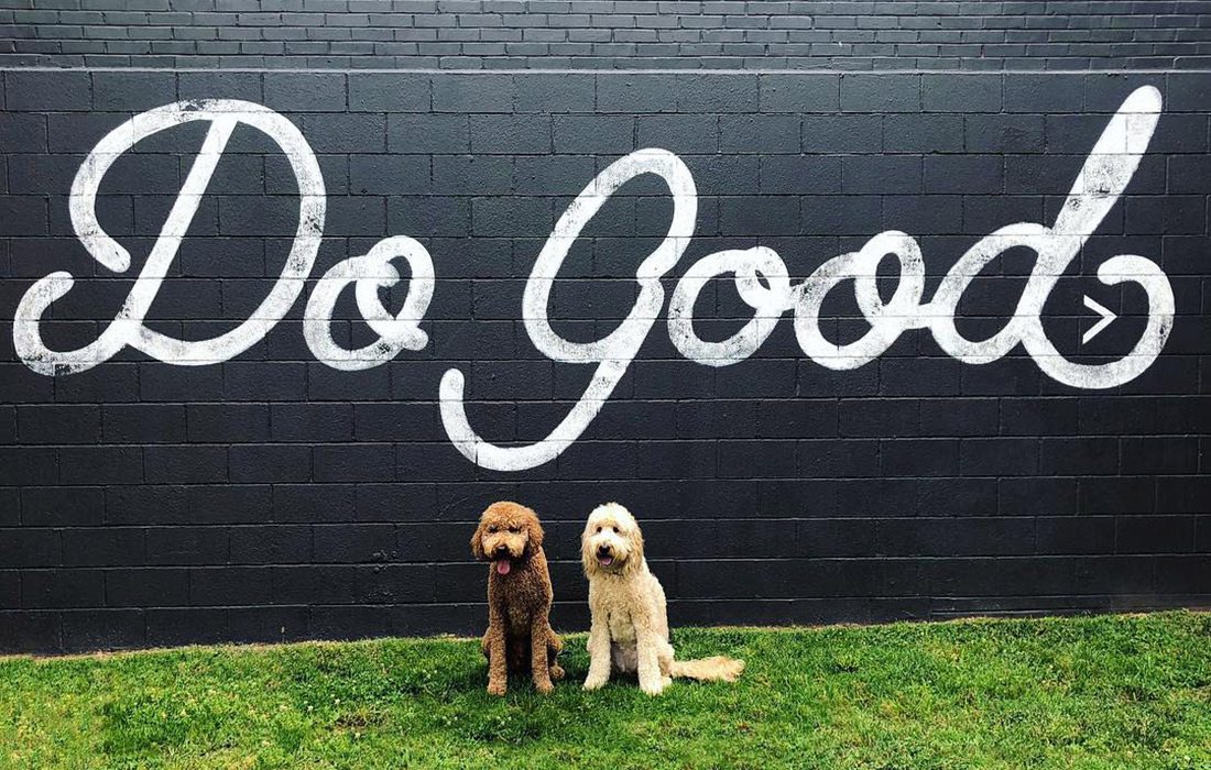 Two dogs in front of the Do Good mural on Historic Commercial Street in Springfield MO