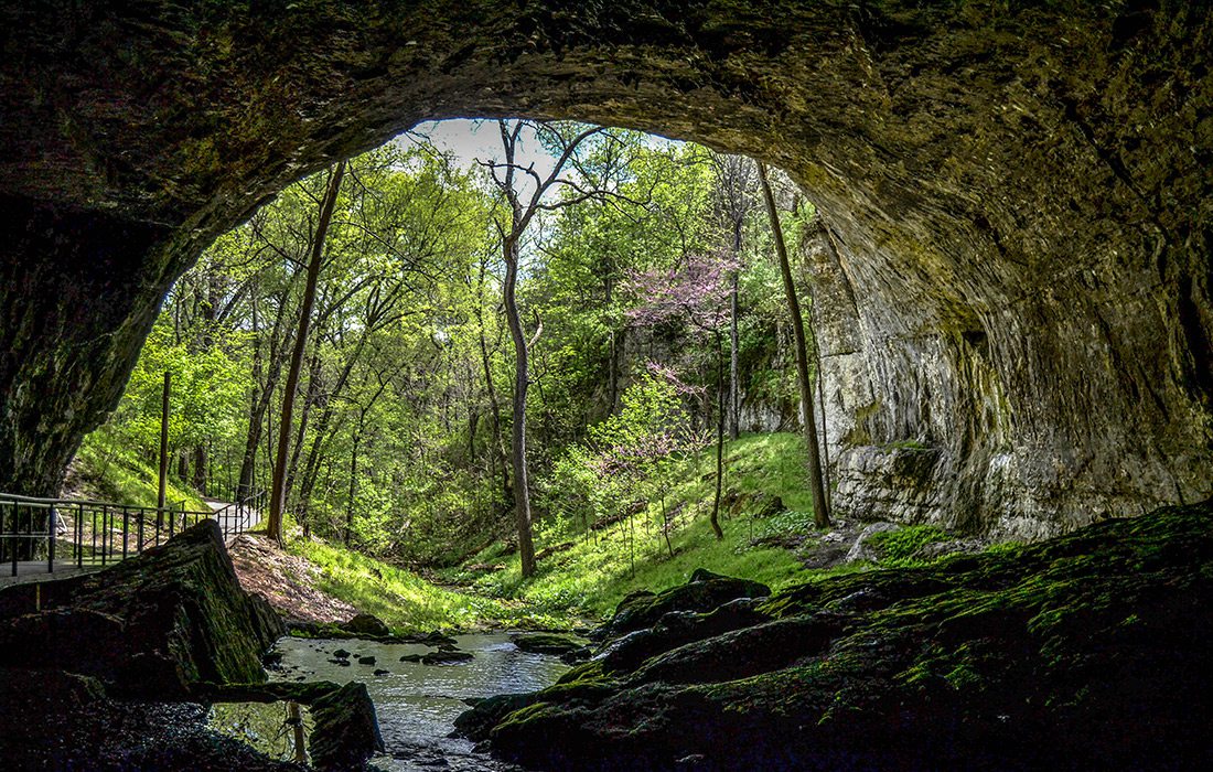 View looking out from inside Smallin Civil War Cave in Springfield MO