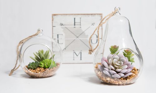 Hanging succulent planters