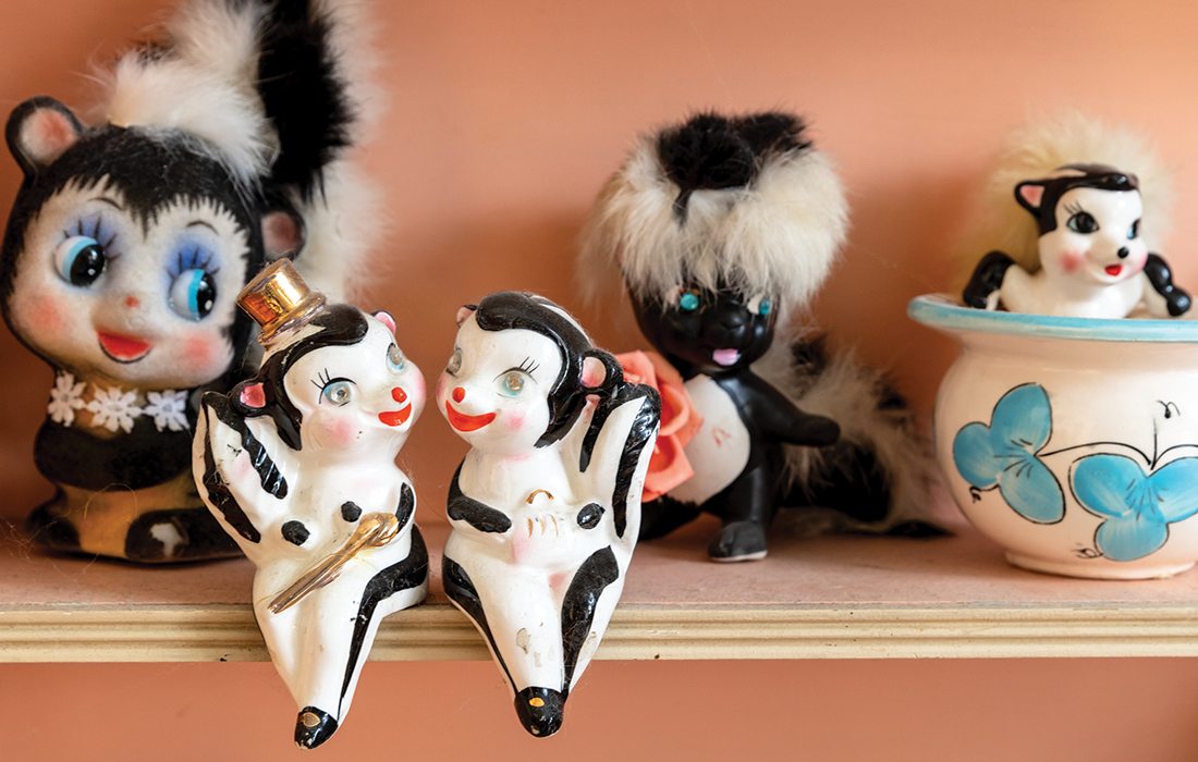 Skunk model collection in Shelton home.