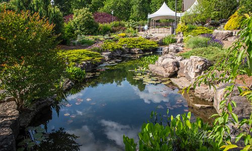 Botanical Garden of the Ozarks in Springdale AR