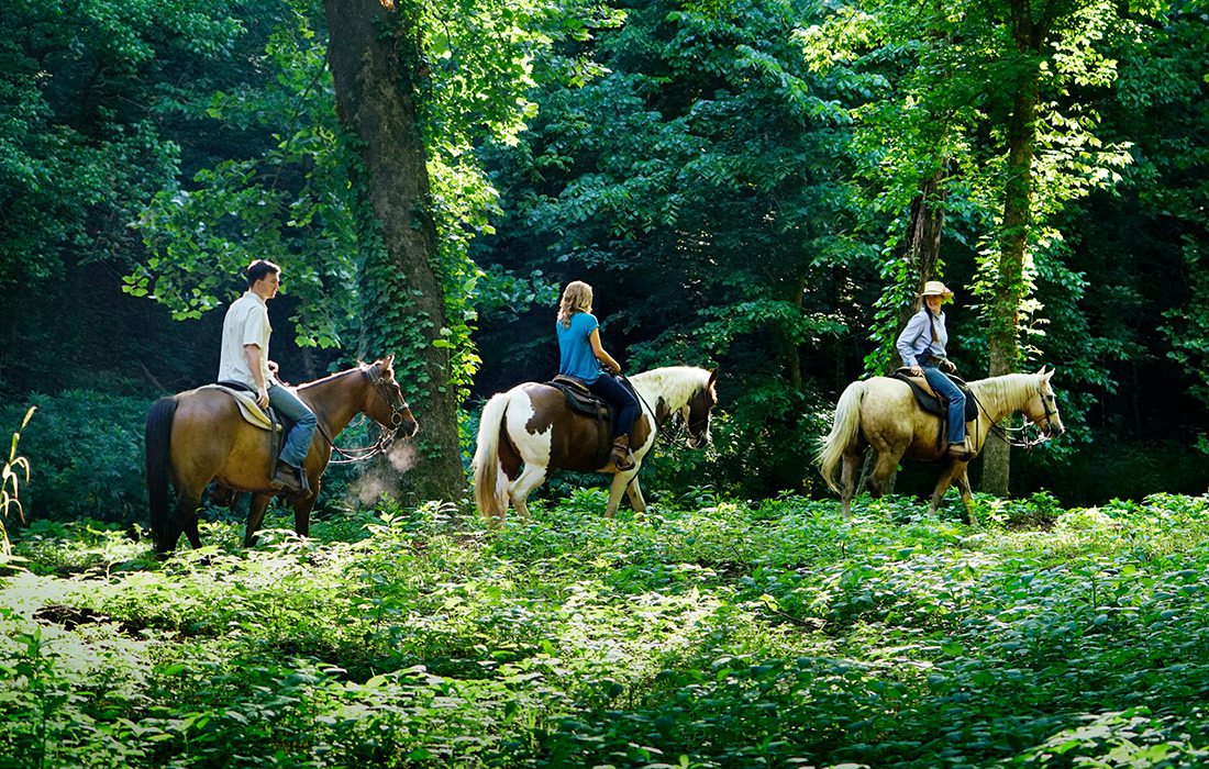 Horseback riding at Dogwood Canyon in Branson MO