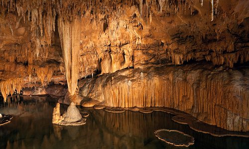 Lily Pad Room at Onondaga Cave State Park in MO