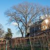 Winery in Hermann, Missouri